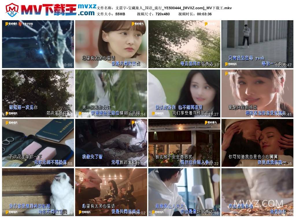 支震宇-宝藏旅人_国语_流行_YE500444